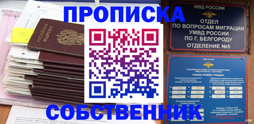 прописка законно в Алексине